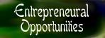 Enterpreneural Opportunities
